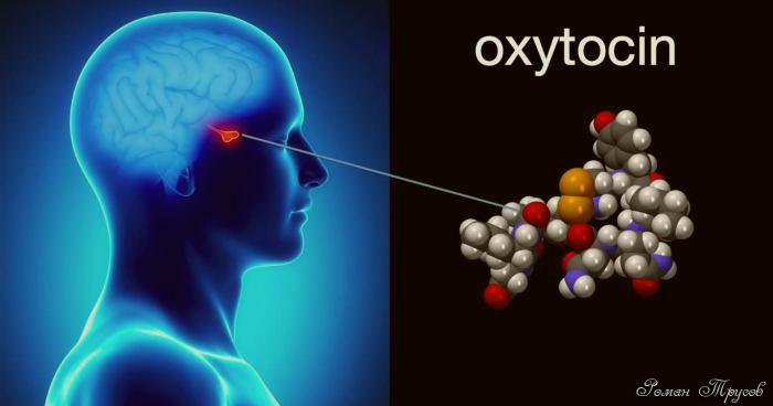 Гормон окситоцин