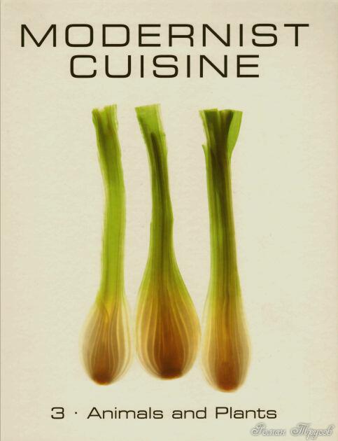Modernist Cuisine animals and plants